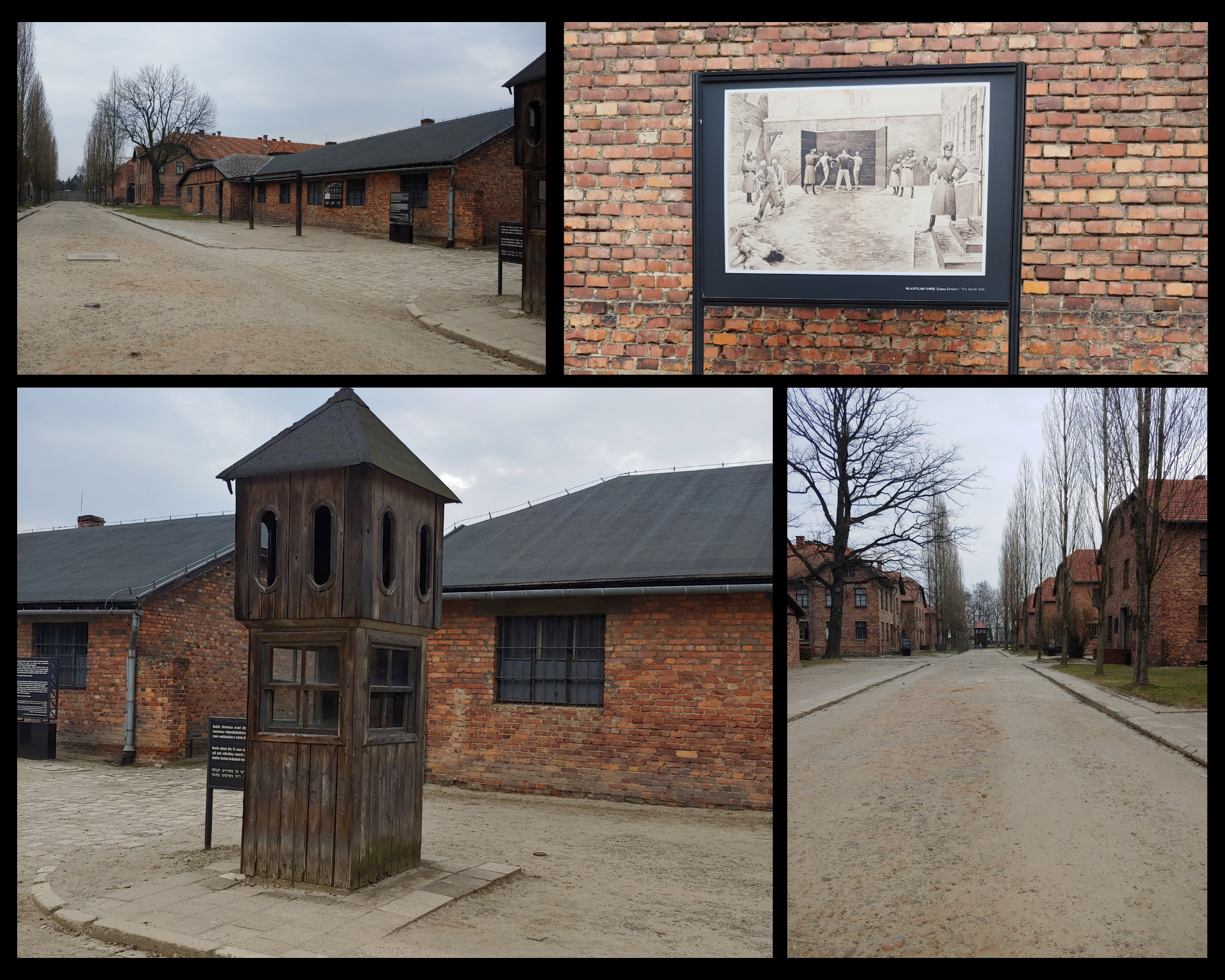 „Żywa Lekcja Historii” –  Auschwitz-Birkenau w Oświęcimiu