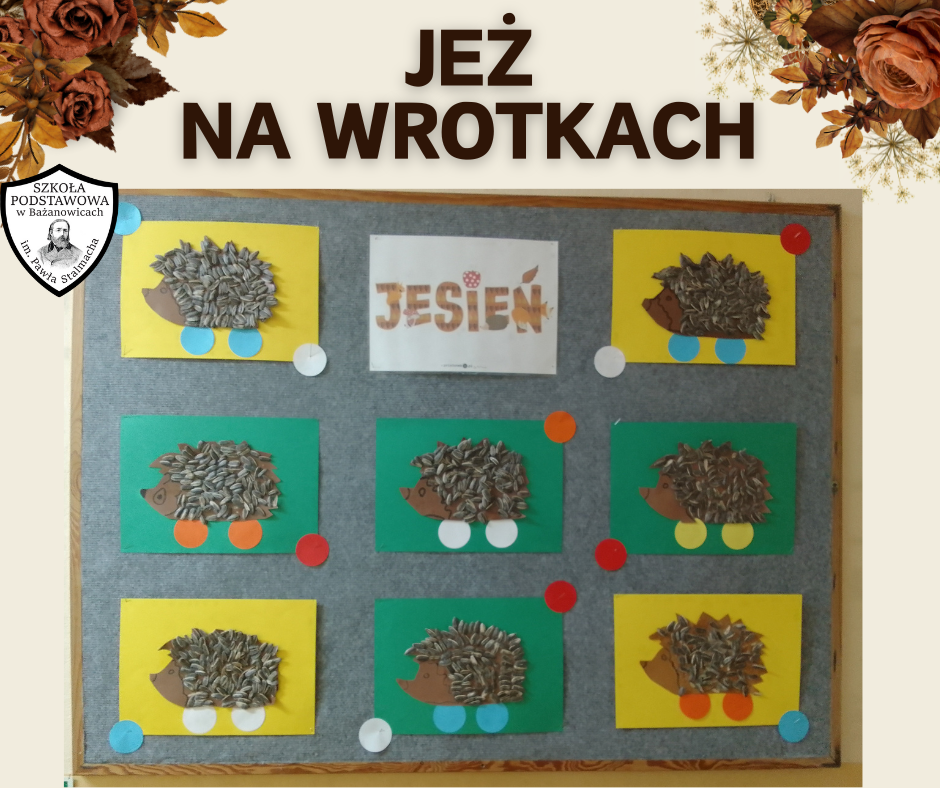 Jeż na wrotkach